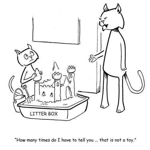 "How many times do I have to tell you... that is not a toy."