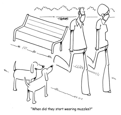 "When did they start wearing muzzles?"