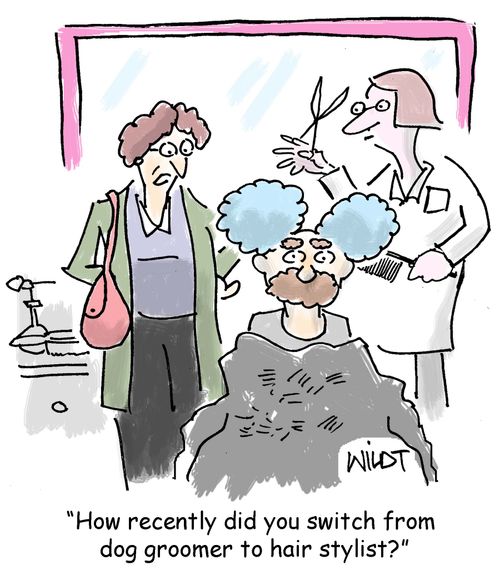 "How recently did you switch from dog groomer to hair stylist?"