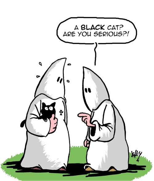 "A black cat? Are you serious?!"