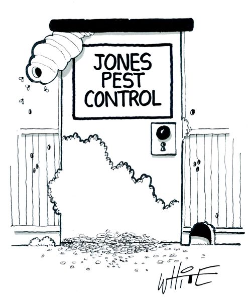 Jones Pest Control