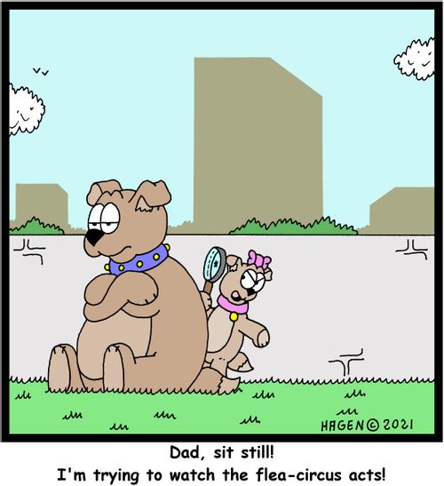 "Dad, sit still! I'm trying to watch the flea-circus acts!"