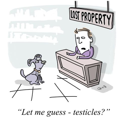 "Let me guess - testicles?"
