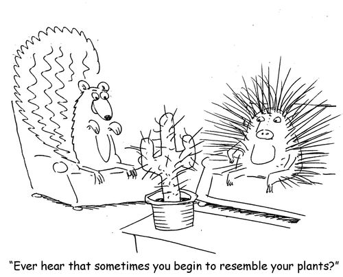 "Ever hear that sometimes you begin to resemble your plants?"