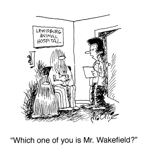 "Which one of you is Mr. Wakefield?"