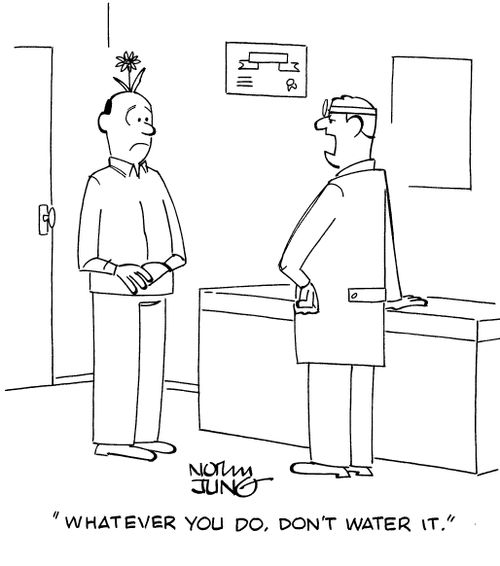 "Whatever you do, don't water it."
