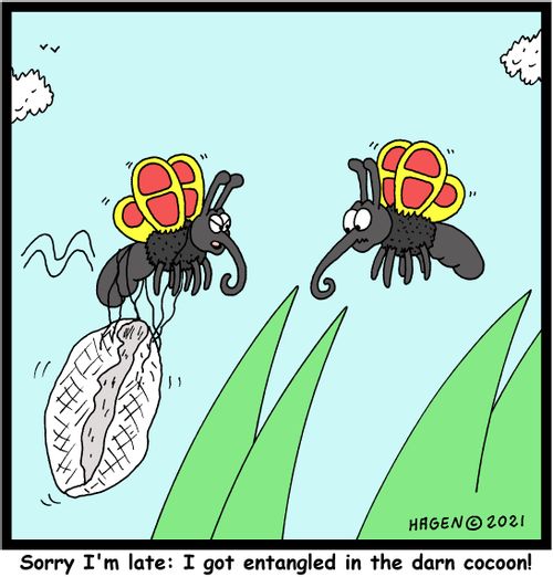 "Sorry I'm late: I got entangled in the darn cocoon!"
