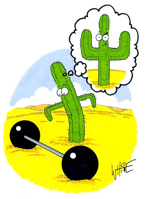 A cactus working out