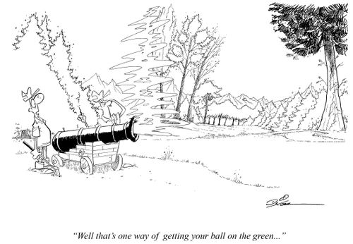 "Well that's one way of getting your ball on the green. . ."