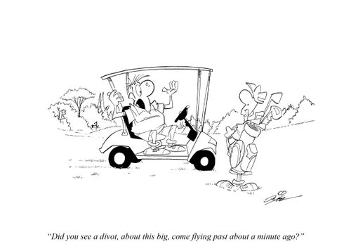 "Did you see a divot, about this big, come flying past about a minute ago?"