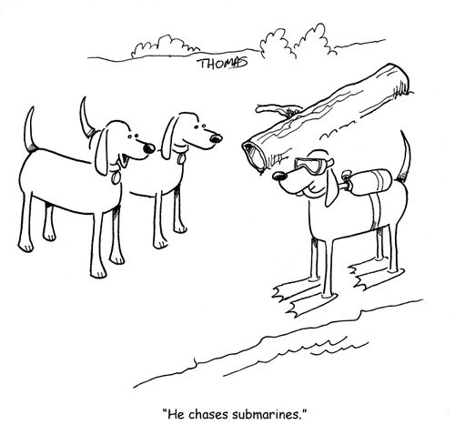 "He chases submarines."
