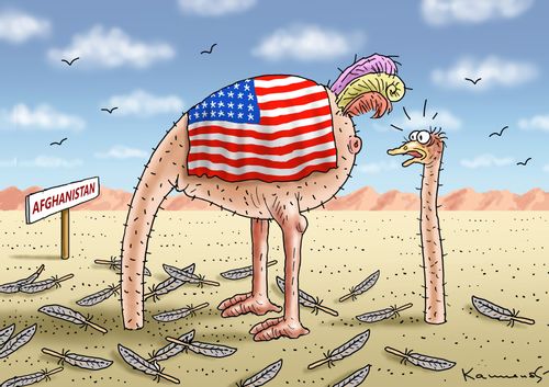 Afghanistan: Head in the Sand
