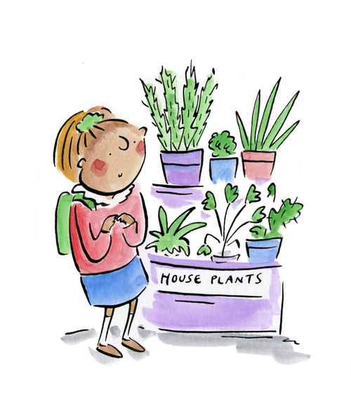 House plants