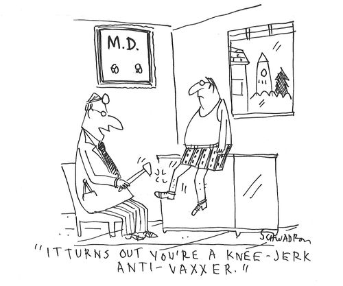"It turns out you're a knee-jerk anti-vaxxer."