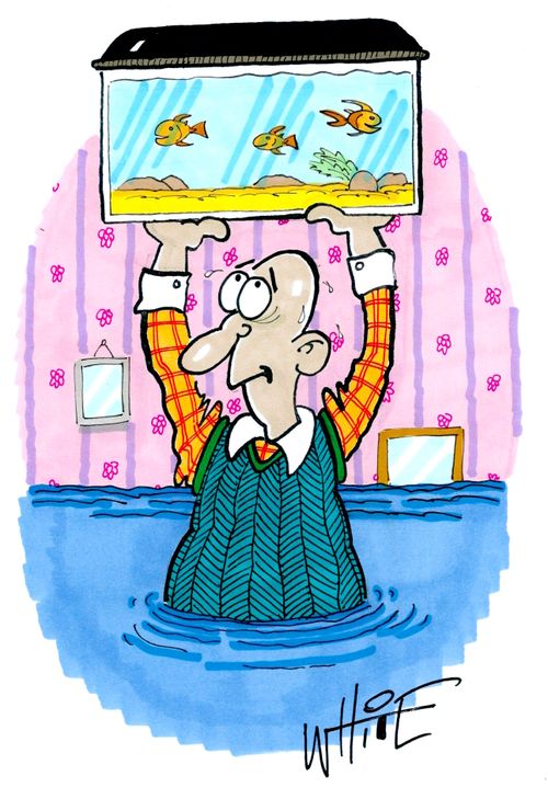 Rescuing the Fish in the Flood