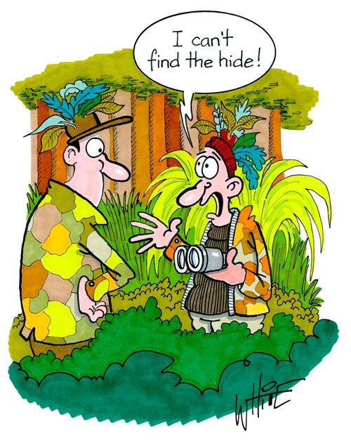 "I can't find the hide!"