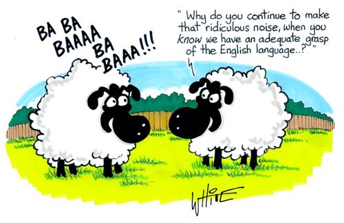 "Why do you continue to make that ridiculous noise, when you know we have an adequate grasp of the English language. . .?"