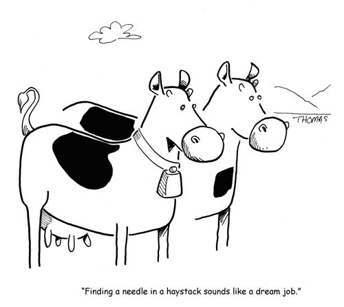 "Finding a needle in a haystack sounds like a dream job."