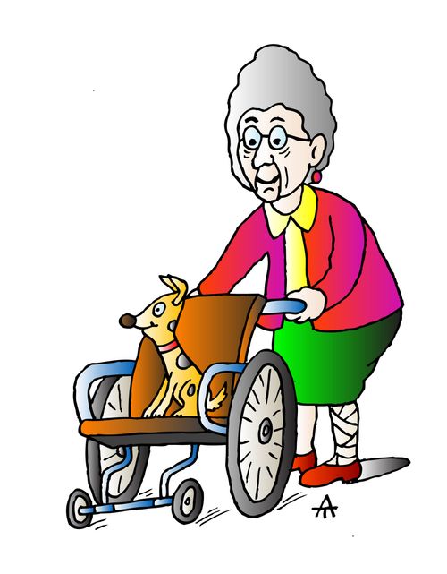 Old lady with broken leg gives her pet a ride in her wheelchair.