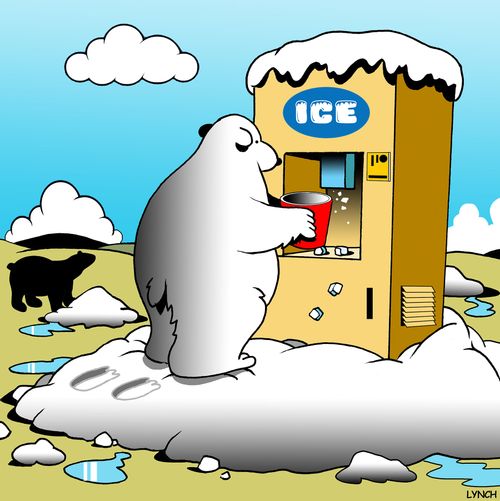 Polar Bear at the Ice Machine
