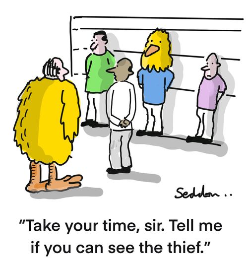 "Take your time, sir. Tell me if you can see the thief."