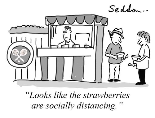 "Looks like the strawberries are socially distancing."