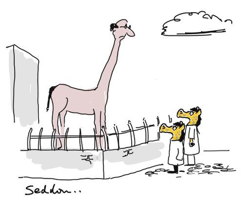 Two human shaped giraffes looking at a giraffe shaped human