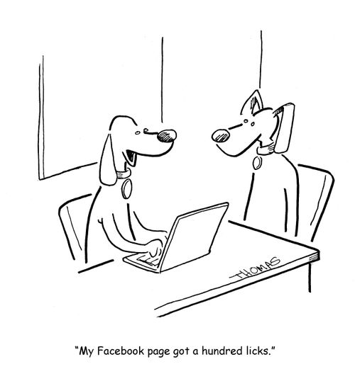 "My Facebook page got a hundred licks."