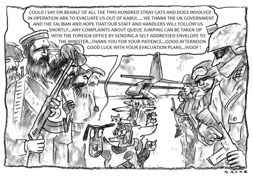 Operation Ark