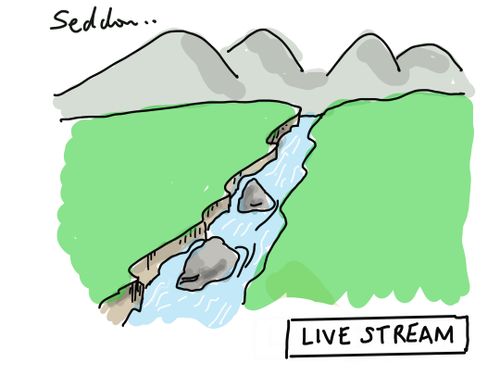Live Stream
