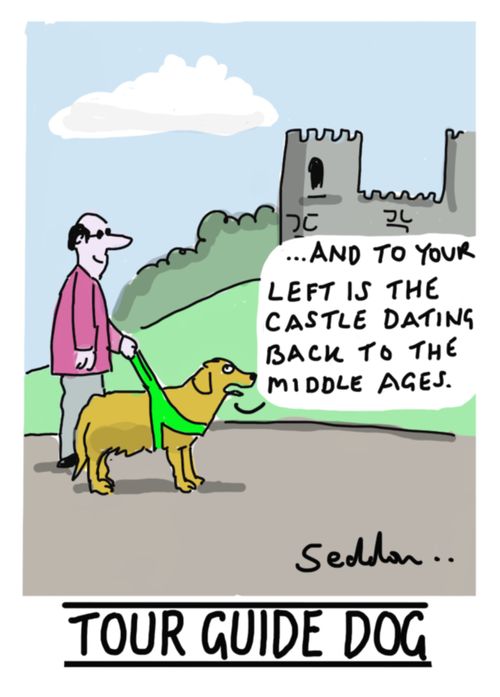 Tour Guide Dog