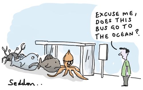 "Excuse me, does this bus go the ocean?"