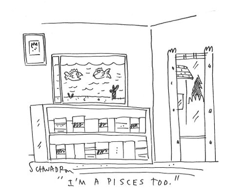 "I'm a pisces too."