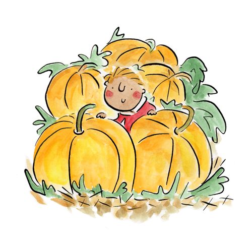 Pumpkin patch