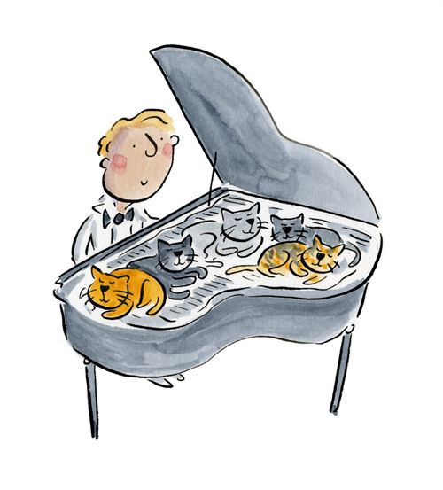 Cats sleeping in a grand piano