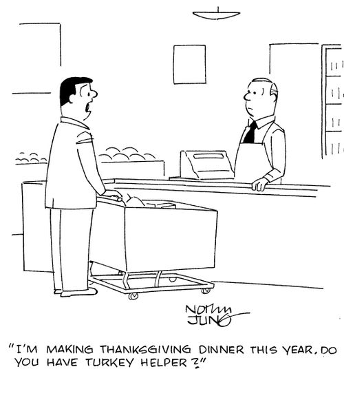 "I'm making Thanksgiving dinner this year. Do you have Turkey Helper?"