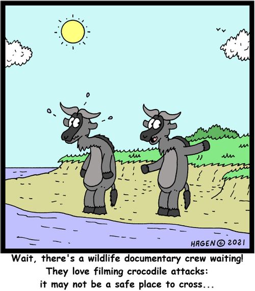 "Wait, there's a wildlife documentary crew waiting! They love filming crocodile attacks: it may not be a safe place to cross. . ."