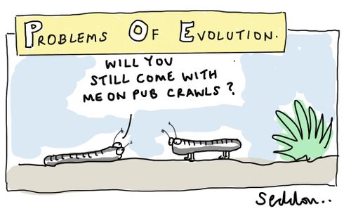 Problem of Evolution