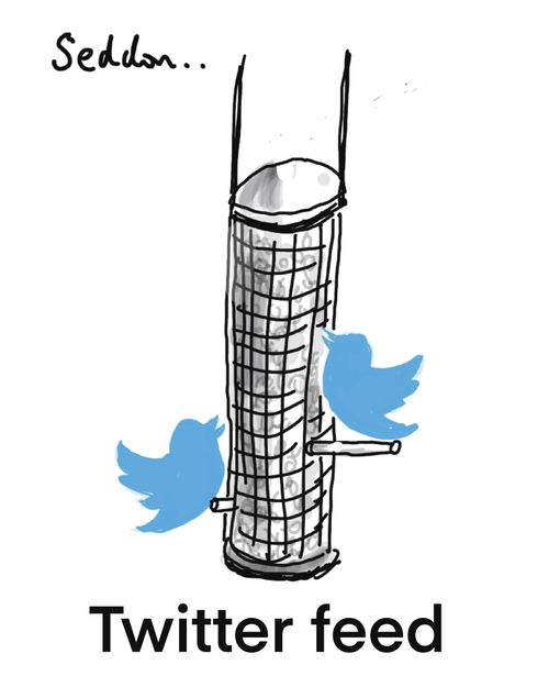 Twitter Feed