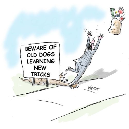 Beware of Old Dogs Learning New Tricks