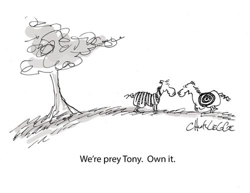 "We're prey Tony. Own it."