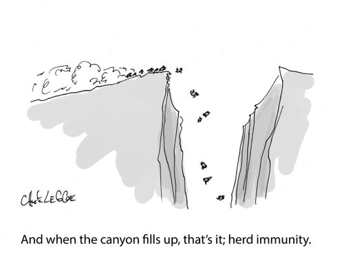 "And when the canyon fills up, that's it; herd immunity."