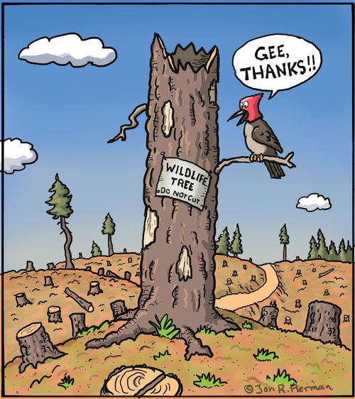 Wildlife Tree