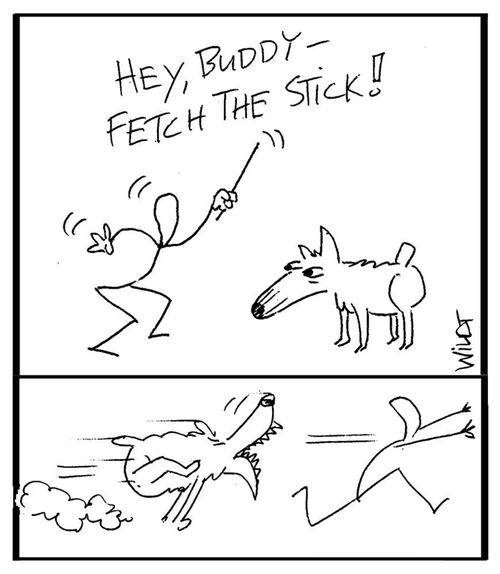 "Hey, Buddy - fetch the stick!"