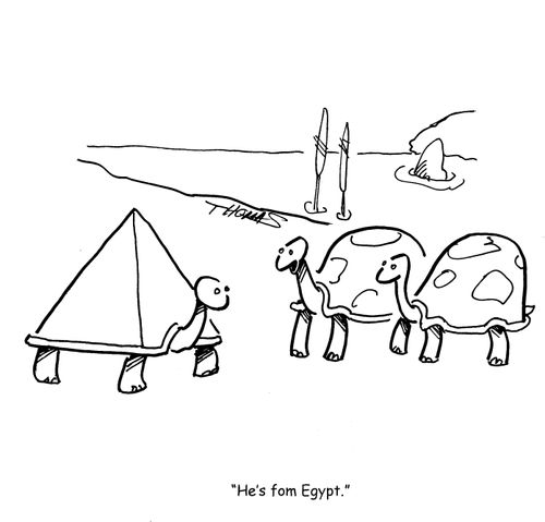 "He's from Egypt."