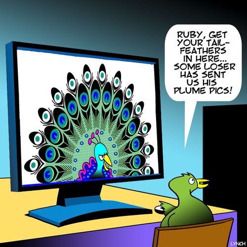 "Ruby, get your tail - feathers in here. . . some loser has sent us his plume pics!"