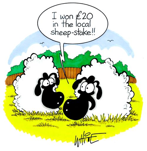"I won £20 in the local sheep-stake!!"