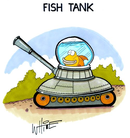 Fish Tank