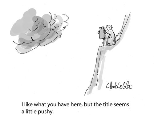 "I like what you have here but the title seems a little pushy."
