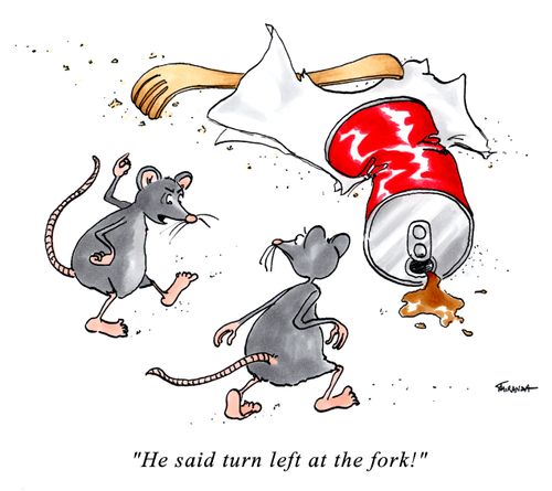 "He said turn left at the fork!"